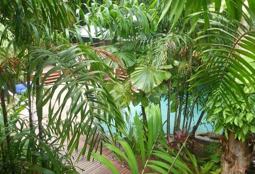 Palm Cove Tropic Apartments