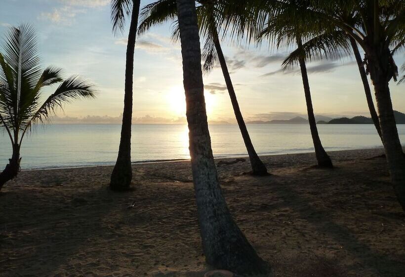 Palm Cove Tropic Apartments