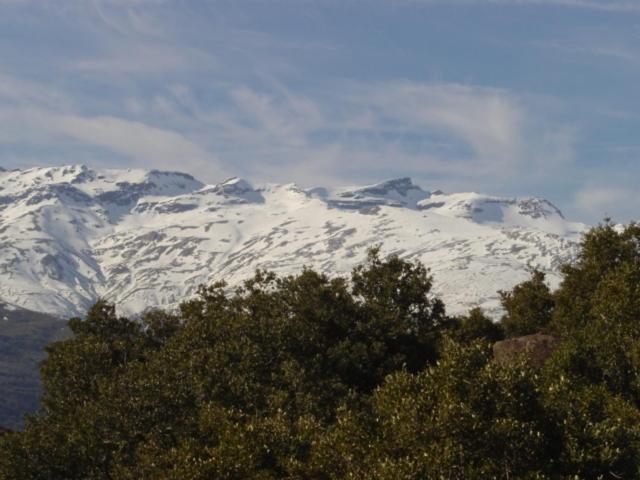 Cortijo Prado Toro