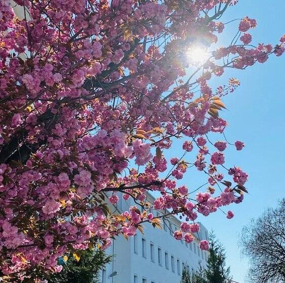 Hotel Am Rhein