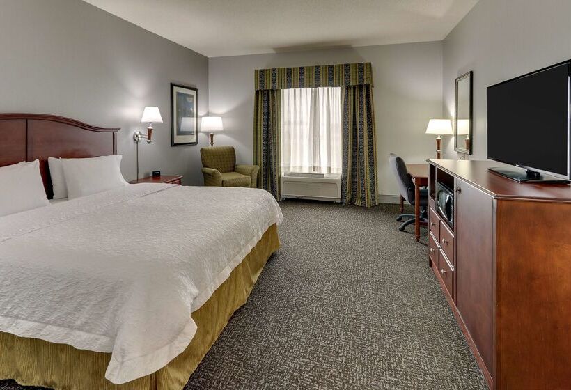 Hotel Hampton Inn And Suites Indianapolis Airport