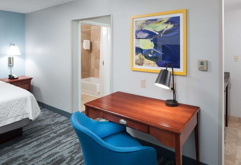 هتل Hampton Inn & Suites Jackson