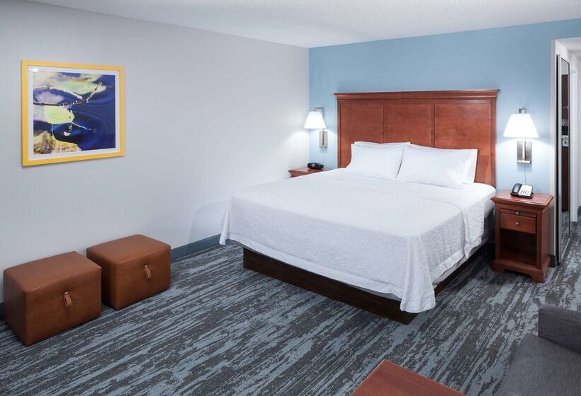 هتل Hampton Inn And Suites Jackson