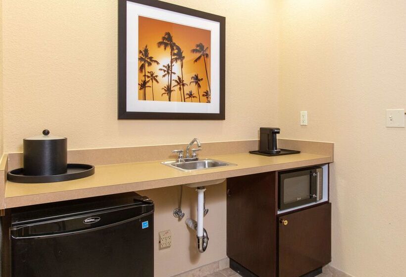 هتل Hampton Inn And Suites Jacksonville Airport