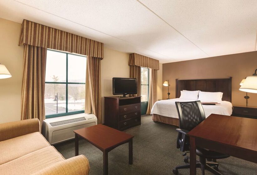 هتل Hampton Inn & Suites Lake George