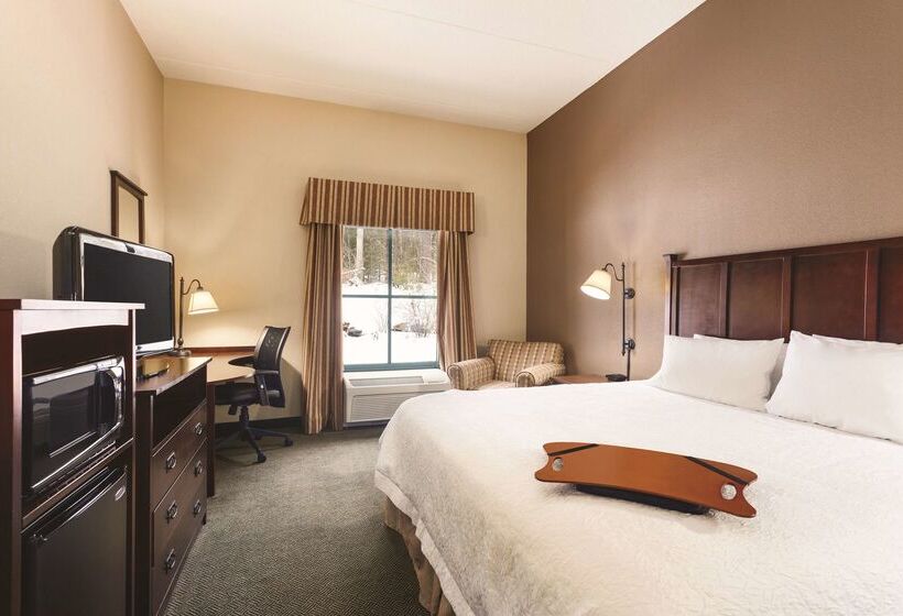 هتل Hampton Inn & Suites Lake George