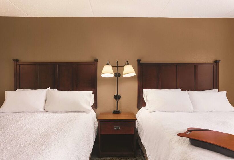 هتل Hampton Inn & Suites Lake George