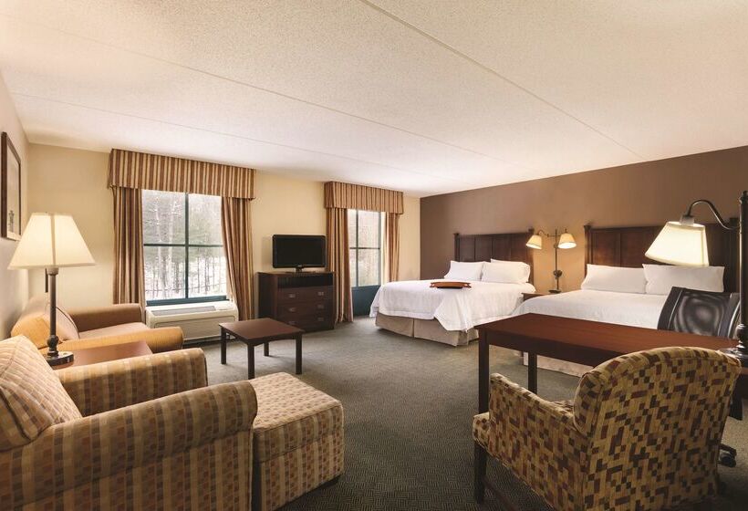 هتل Hampton Inn & Suites Lake George