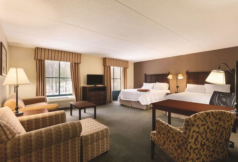 هتل Hampton Inn And Suites Lake George