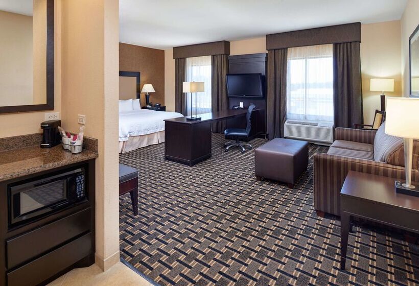 ホテル Hampton Inn And Suites Longview