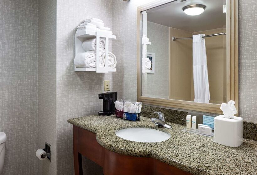 هتل Hampton Inn & Suites Mobile I 65@ Airport Blvd