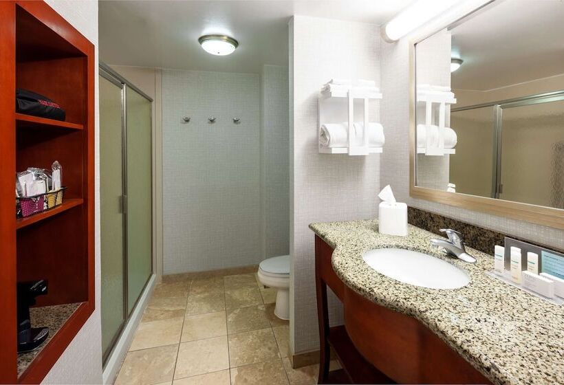 هتل Hampton Inn & Suites Mobile I 65@ Airport Blvd