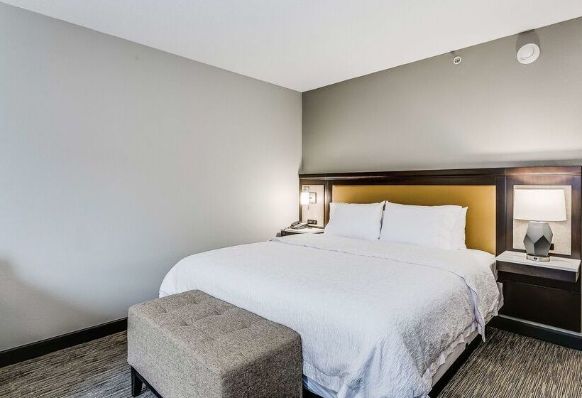 هتل Hampton Inn & Suites Mobile  Downtown Historic District