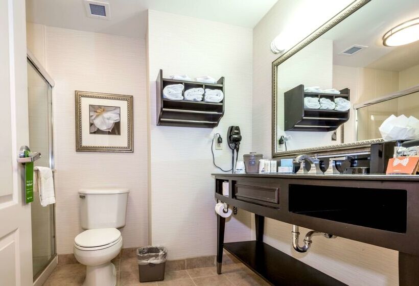 هتل Hampton Inn & Suites Montgomery Downtown