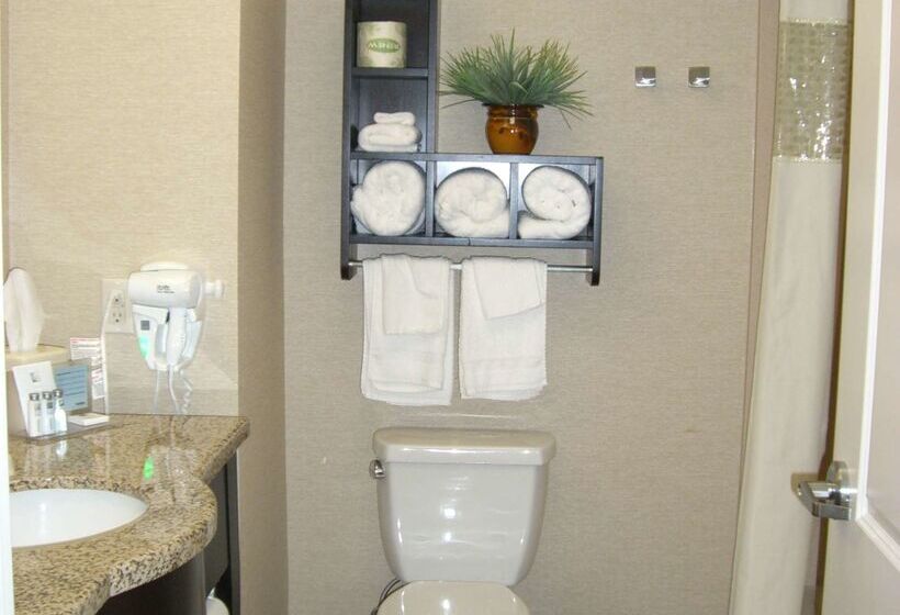 هتل Hampton Inn & Suites Pueblo/north