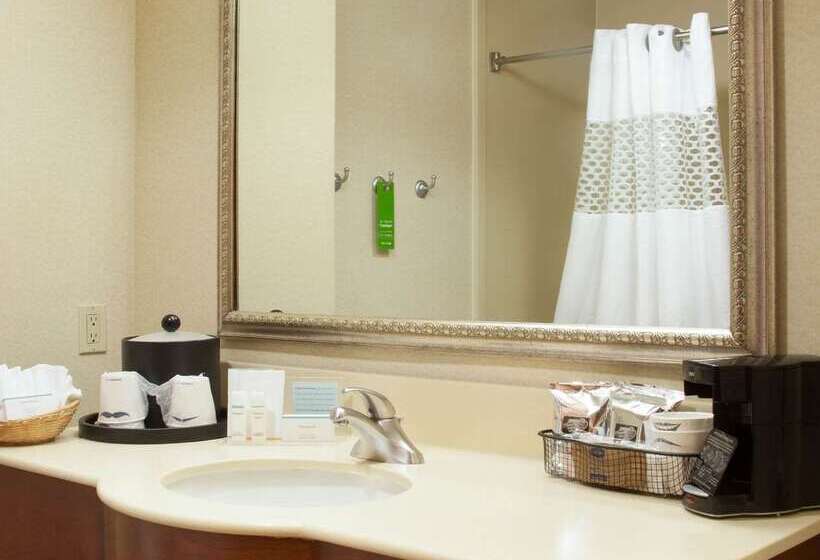 هتل Hampton Inn & Suites Brownsville