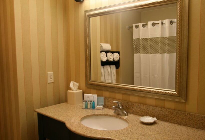 酒店 Hampton Inn & Suites Chicago/st. Charles