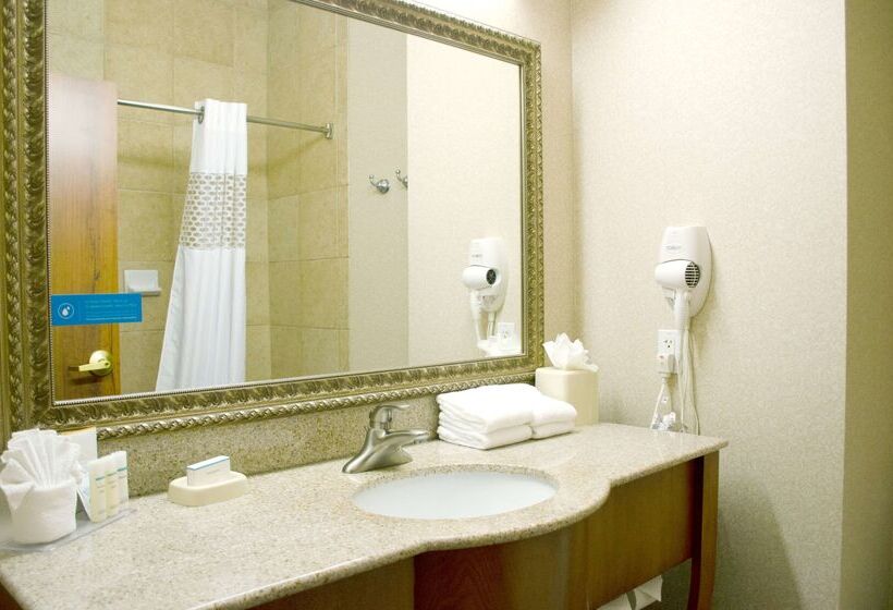 בית מלון כפרי Hampton Inn And Suites College Station