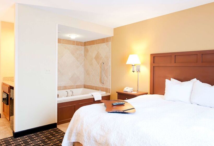 هتل Hampton Inn & Suites Columbia At University