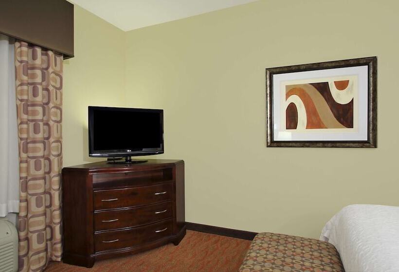 ホテル Hampton Inn & Suites Conroe  I45 North