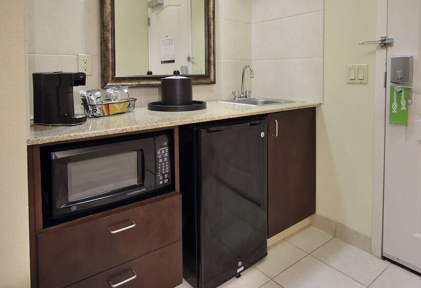 ホテル Hampton Inn & Suites Conroe  I45 North