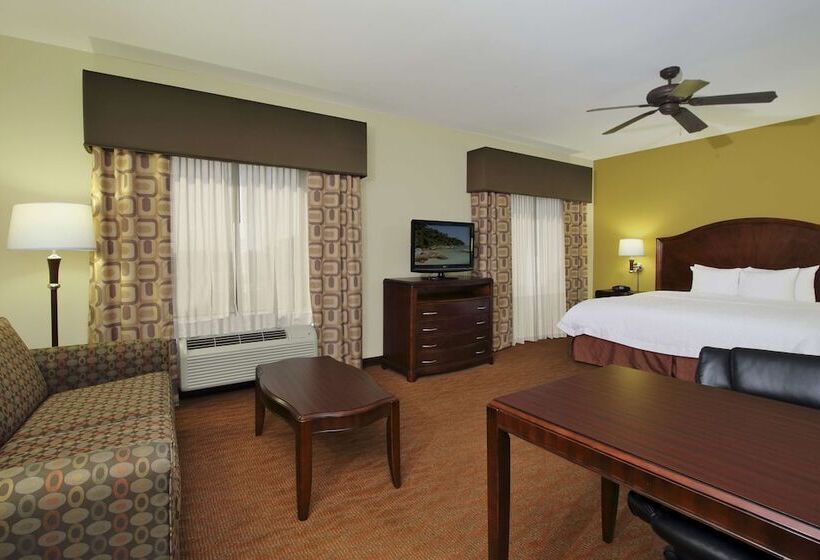 ホテル Hampton Inn & Suites Conroe  I45 North
