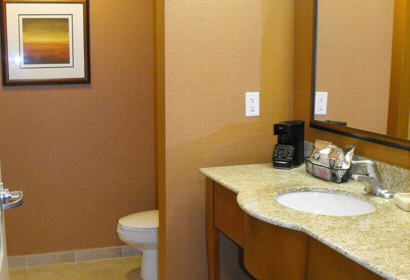 בית מלון כפרי Hampton Inn & Suites Homestead Miami South