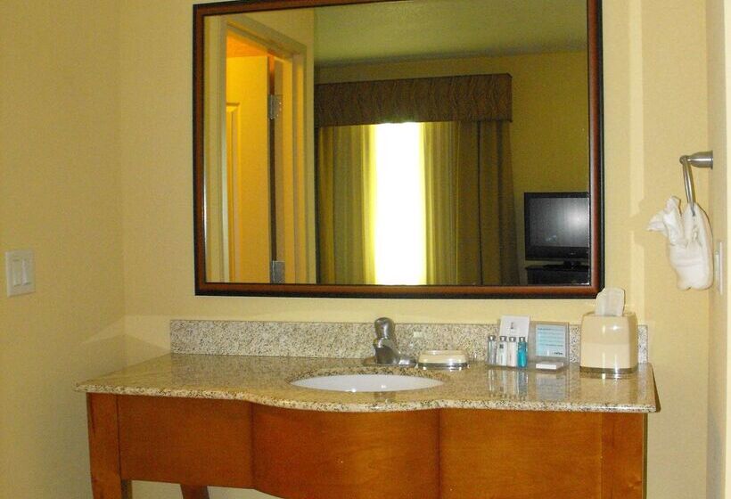 בית מלון כפרי Hampton Inn & Suites Homestead Miami South