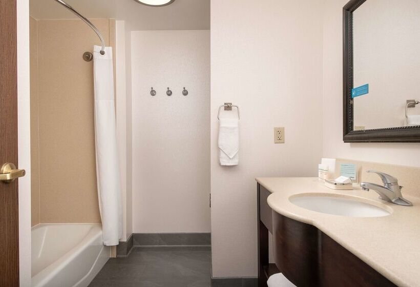 هتل Hampton Inn & Suites Lake City