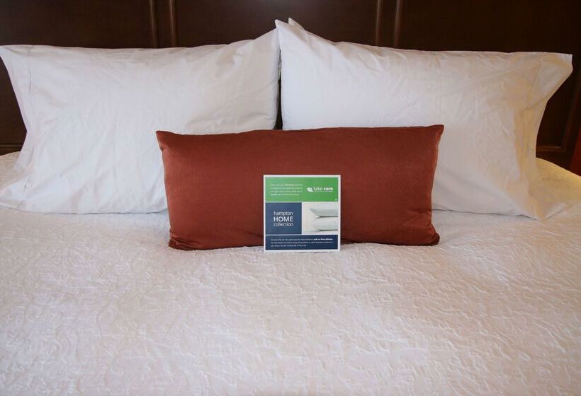 هتل Hampton Inn & Suites St. Louis/south I55