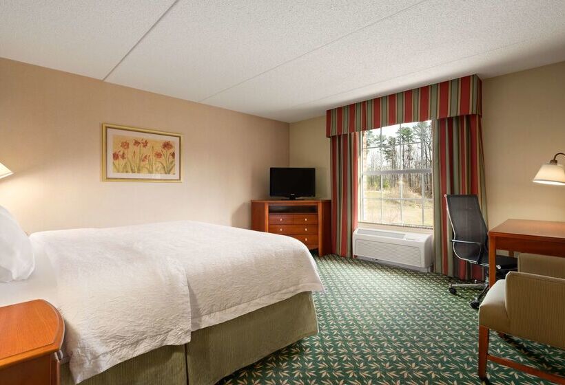 هتل Hampton Inn & Suites Williamsburg Central