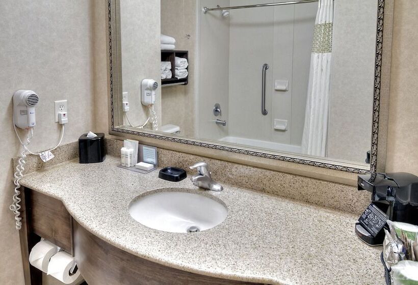 בית מלון כפרי Hampton Inn Twin Falls Id