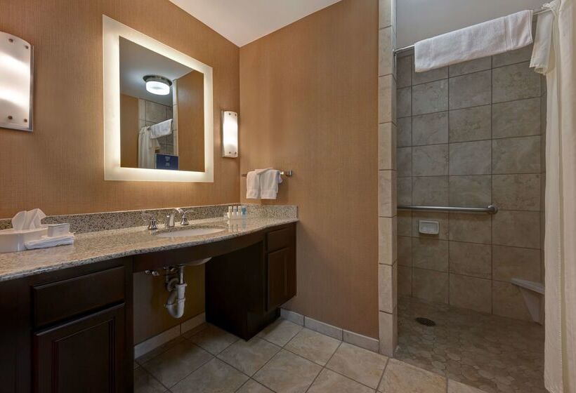 Hotel Homewood Suites By Hilton Denver Tech Center