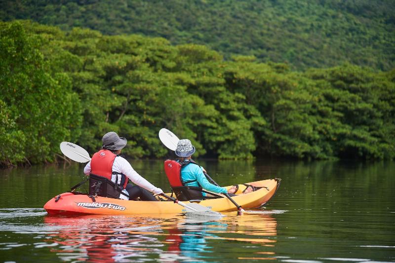 Iriomotejima Jungle Hotel Painumaya
