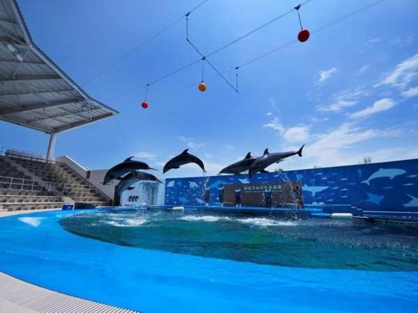 Fotos del hotel Mitsui Garden  Sendai:  44