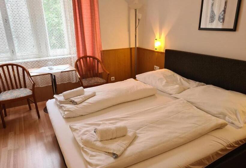 Fotos del hotel Pension Anifalstaff:  25