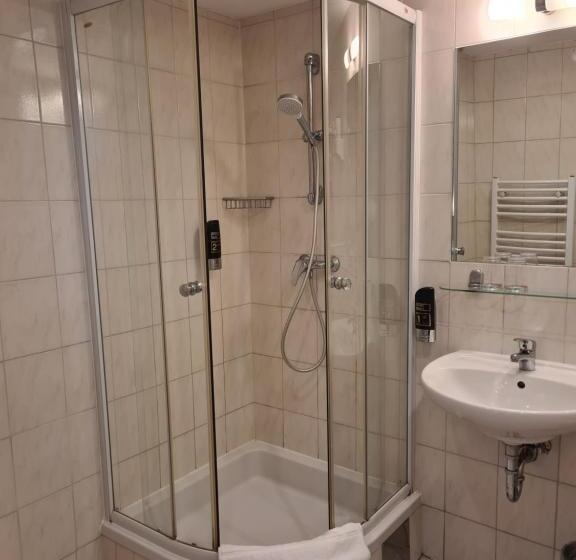 Fotos del hotel Pension Anifalstaff:  14