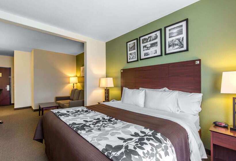 هتل Sleep Inn & Suites Bush Intercontinental  Iah East