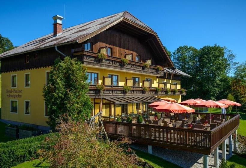 בית מלון כפרי Pension Schwaighofen