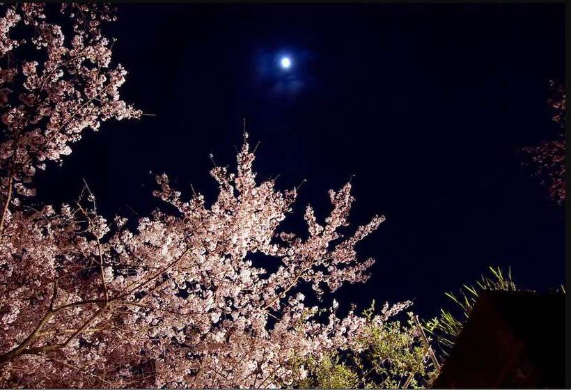 Fotos del hotel Kijitei Hoeiso:  28