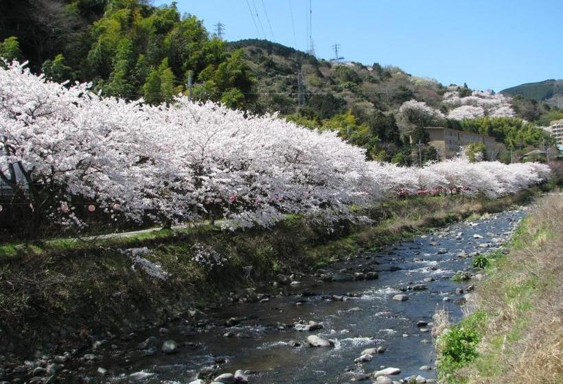 هتل Yugawara Onsen Kawasegien Isuzu