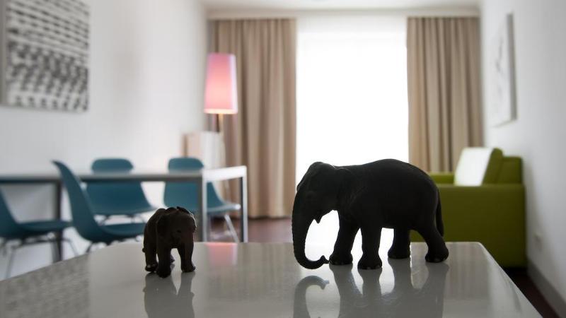 Stanys  Das Apartment