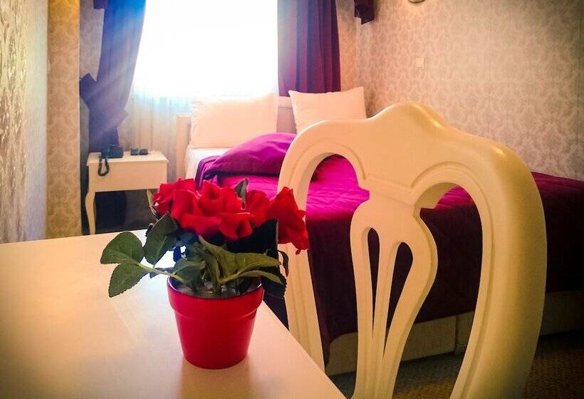 Fotos del hotel Aleph:  17