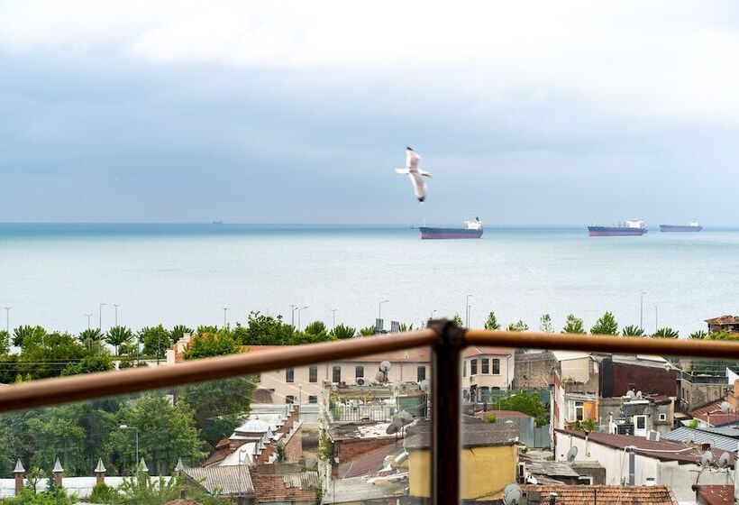 Fotos del hotel Aleph:  15