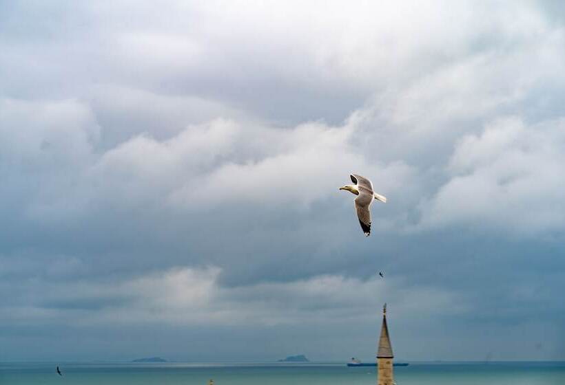 Fotos del hotel Aleph:  25