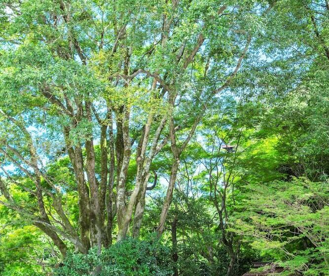 Fotos del hotel Arima Onsen Motoyu Kosenkaku:  9