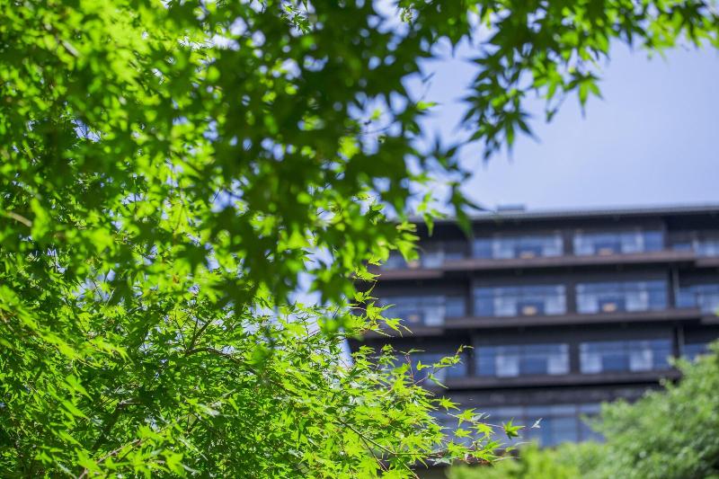 Fotos del hotel Arima Onsen Motoyu Kosenkaku:  41