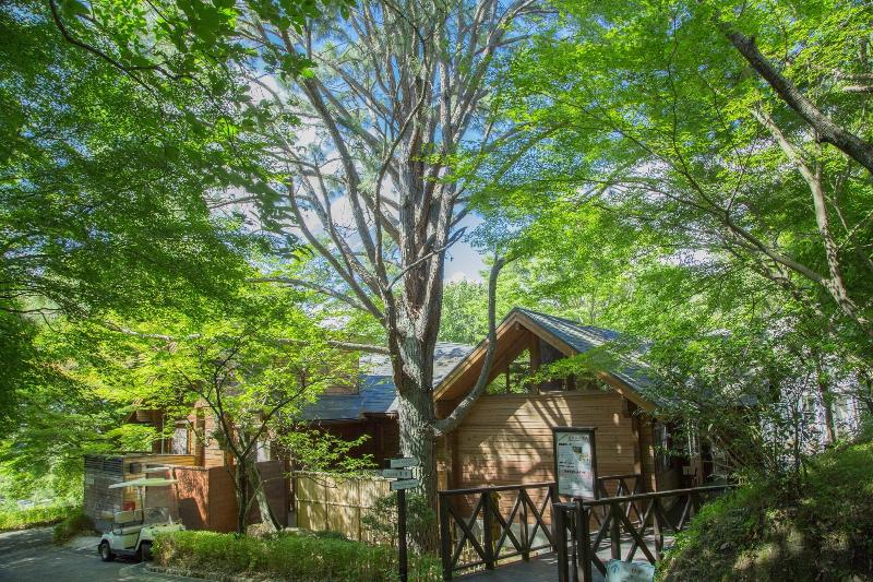 Fotos del hotel Arima Onsen Motoyu Kosenkaku:  26