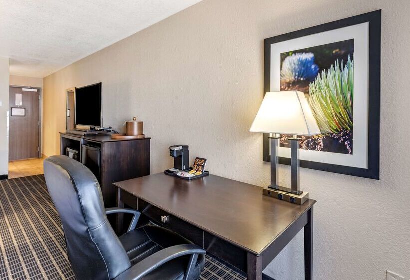 Fotos del hotel Best Western Plus Las Vegas West:  31