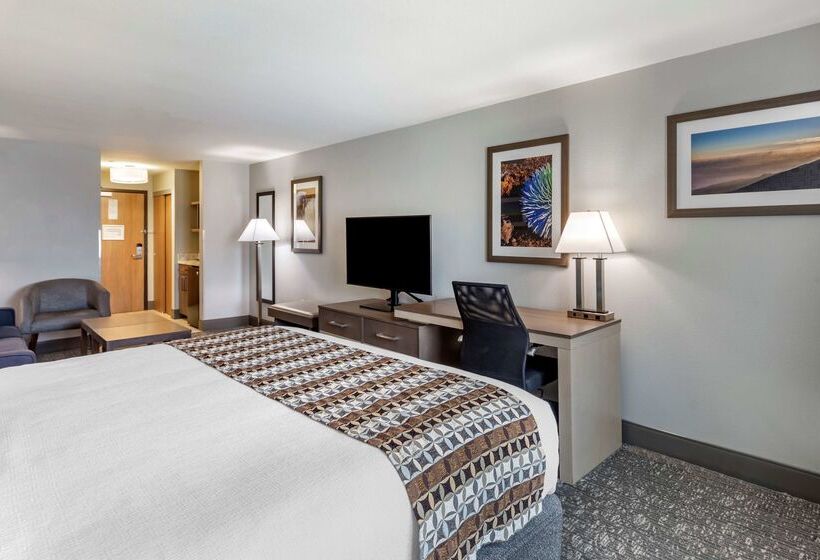 Fotos del hotel Best Western Plus Las Vegas West:  6